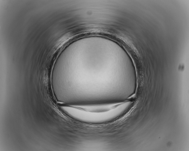 X0000097920969200804111135