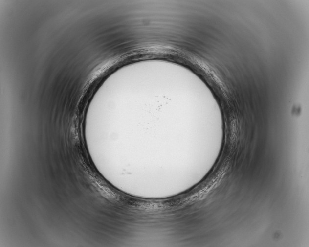 X0000097920970200804111135