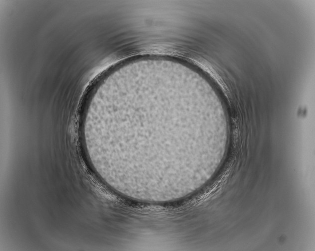 X0000097920971200804111135