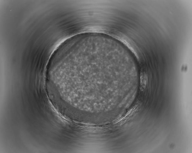 X0000097920972200804111135