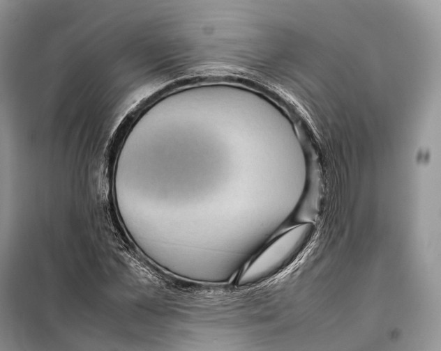 X0000097920973200804111135