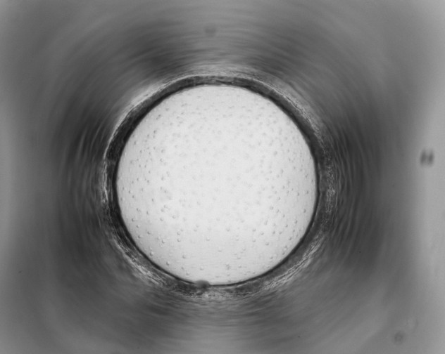 X0000097920974200804111135