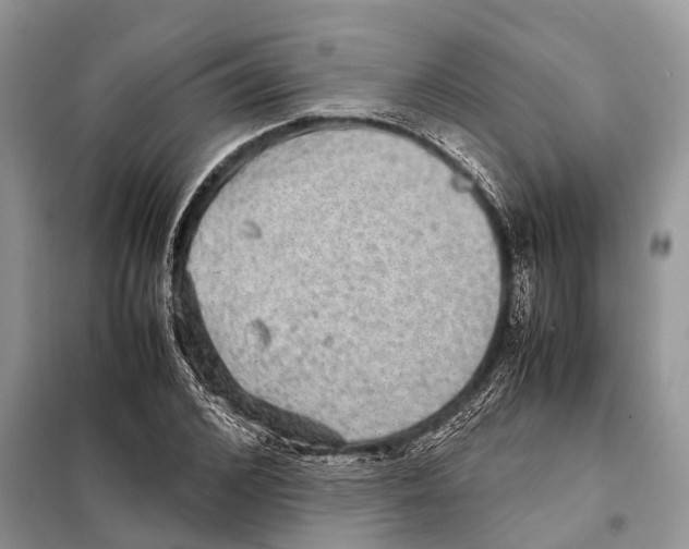 X0000097920976200804111135