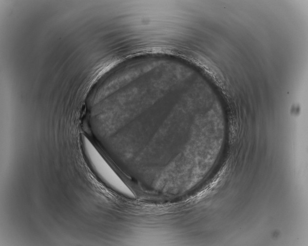 X0000097920977200804111135