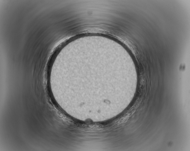 X0000097920979200804111135