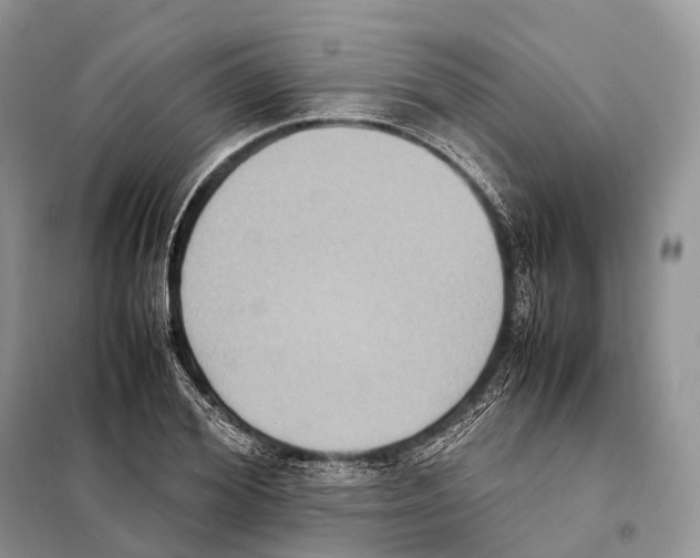 X0000097920980200804111135