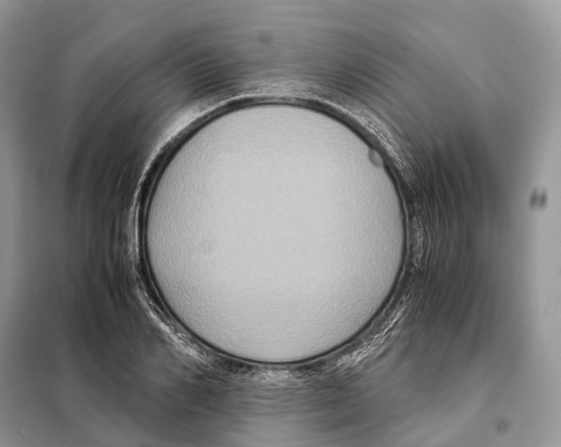 X0000097920982200804111135