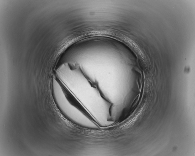 X0000097920985200804111135