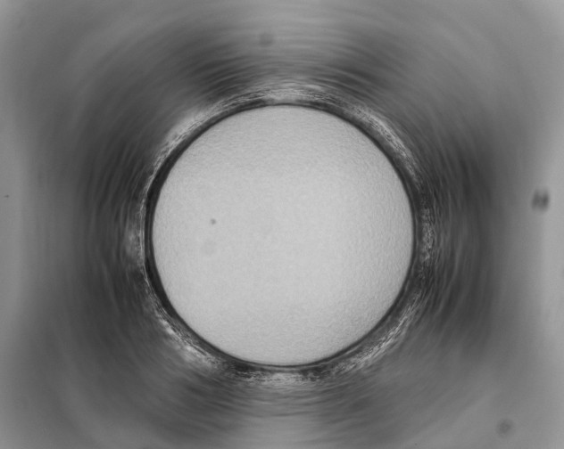 X0000097920986200804111135