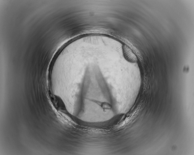 X0000097920988200804111135