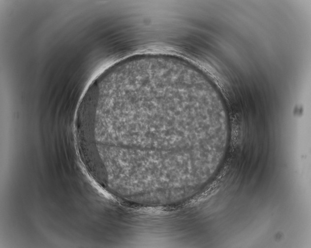 X0000097920990200804111135