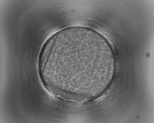 X0000097920991200804111135