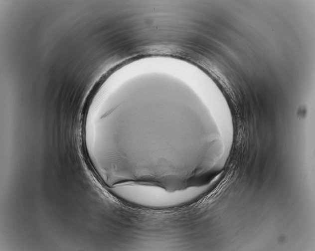 X0000097920992200804111135