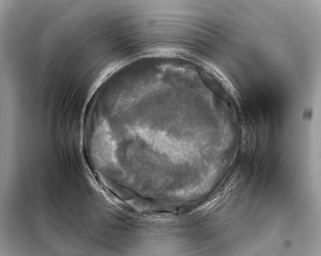 X0000097920994200804111135