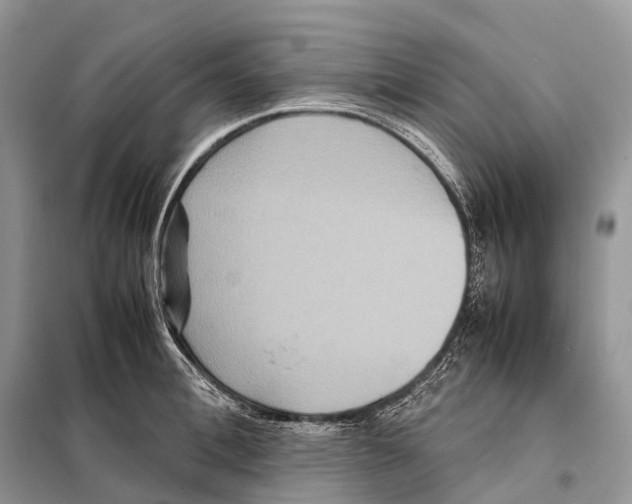 X0000097920996200804111135