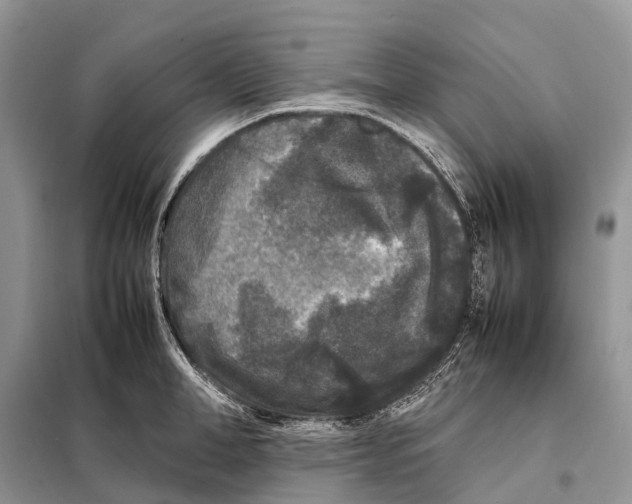 X0000097920998200804111135