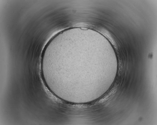 X0000097921000200804111135