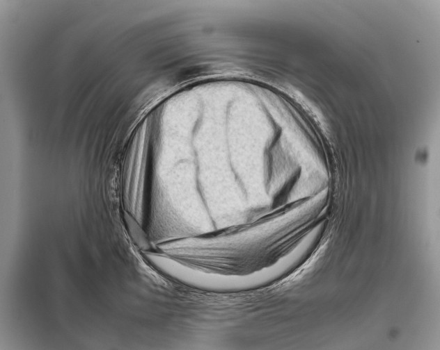 X0000097921001200804111135