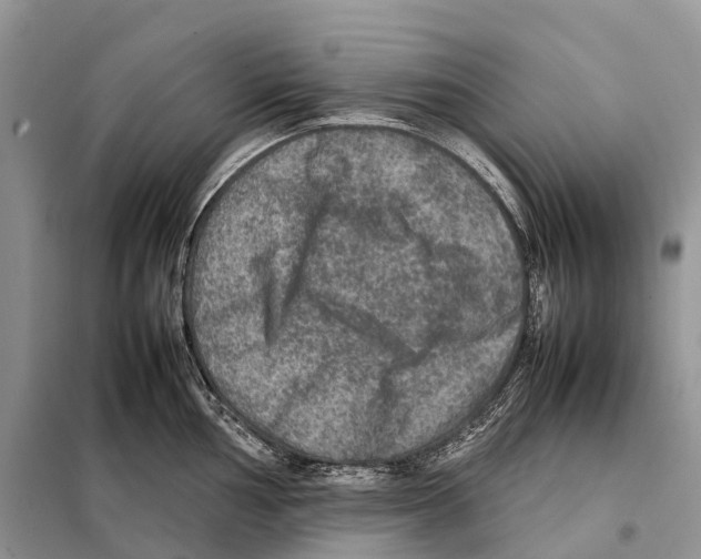 X0000097921002200804111135