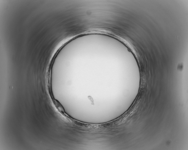 X0000097921003200804111135