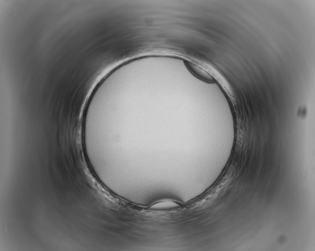 X0000097921004200804111135