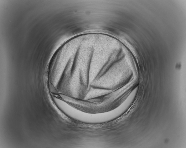 X0000097921005200804111135