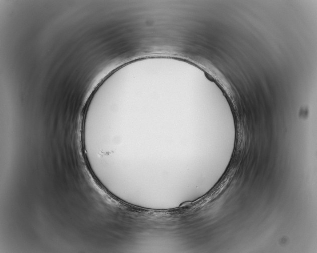 X0000097921006200804111135