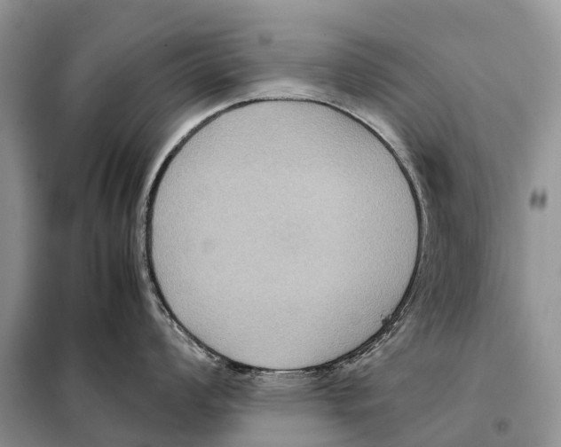 X0000097921008200804111135