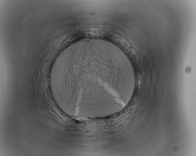 X0000097921009200804111134