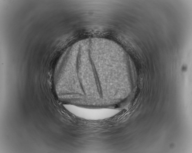 X0000097921010200804111134