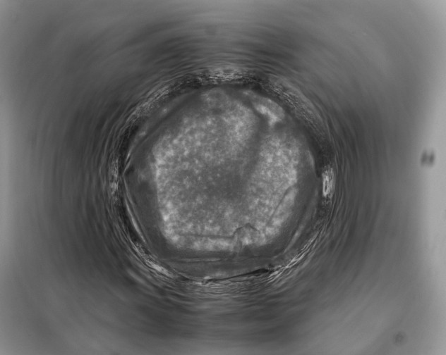 X0000097921011200804111134