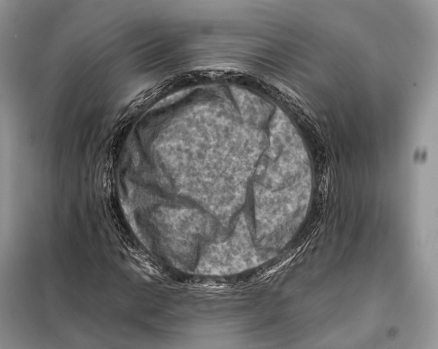 X0000097921014200804111134