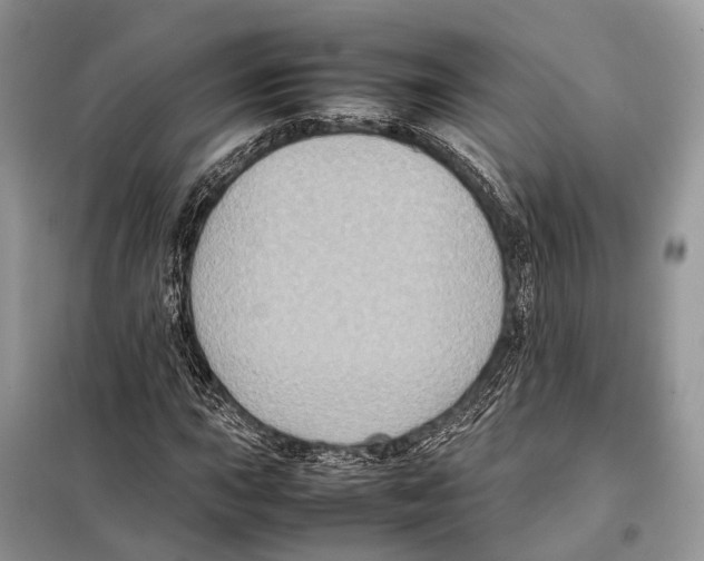 X0000097921015200804111134