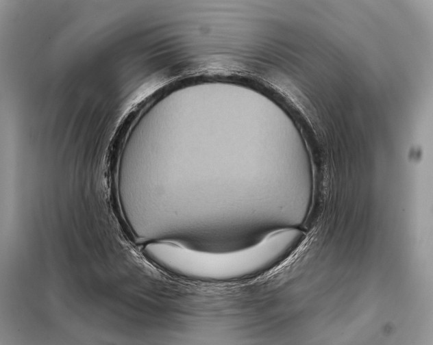 X0000097921018200804111134