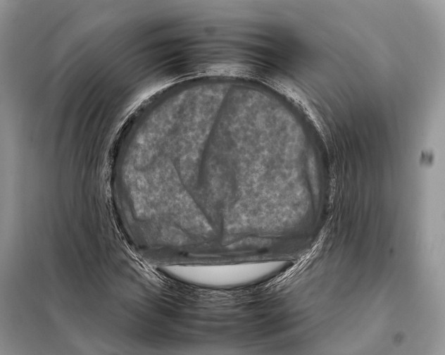 X0000097921019200804111134