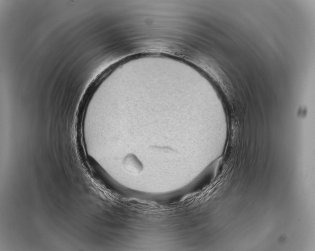 X0000097921020200804111134