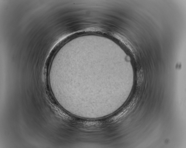 X0000097921021200804111134