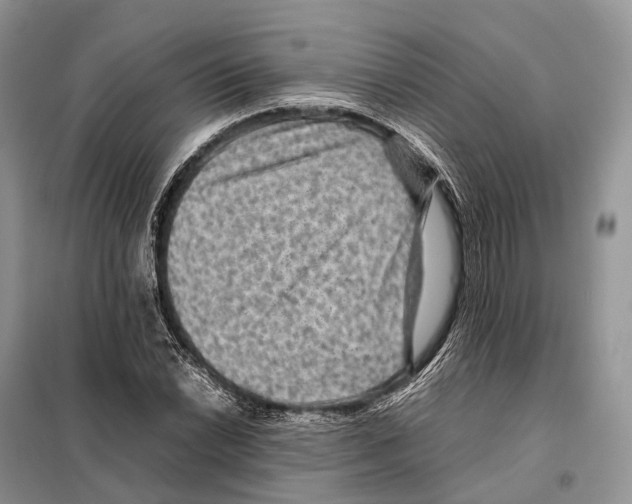 X0000097921022200804111134