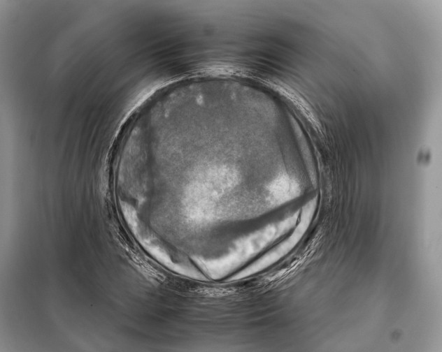 X0000097921023200804111134