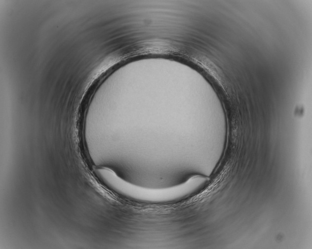 X0000097921026200804111134