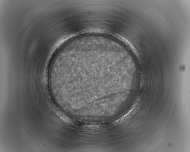 X0000097921027200804111134