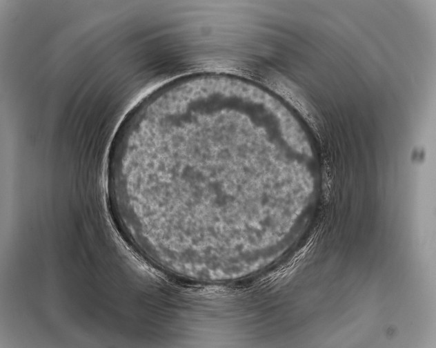 X0000097921028200804111134