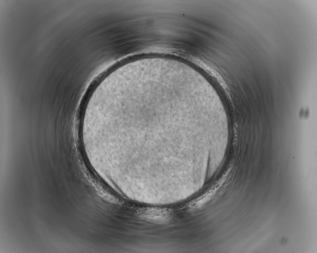 X0000097921029200804111134