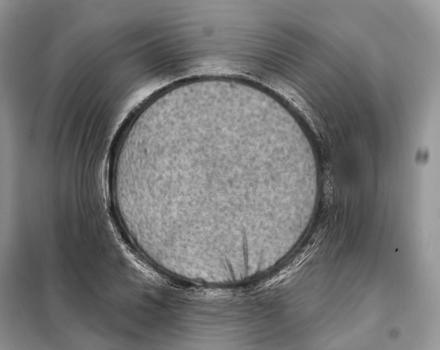 X0000097921030200804111134