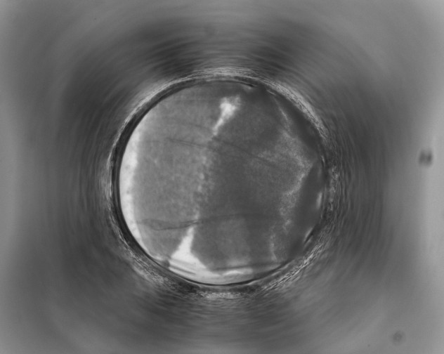 X0000097921031200804111134