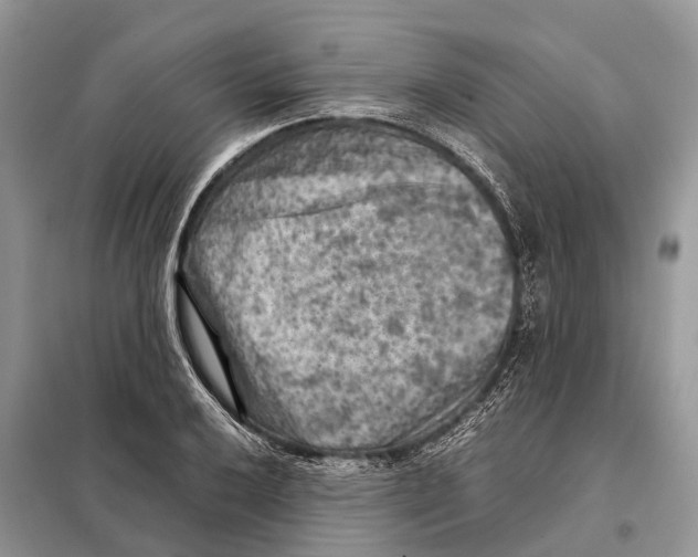 X0000097921032200804111134