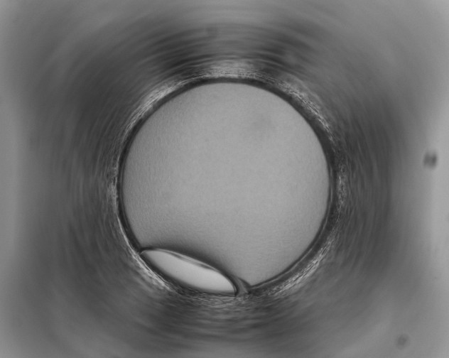 X0000097921033200804111134