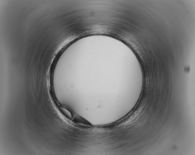 X0000097921034200804111134