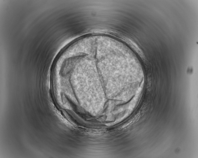 X0000097921036200804111134