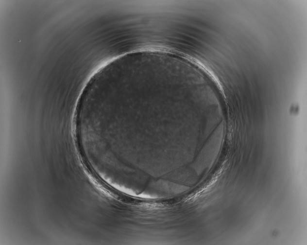 X0000097921037200804111134